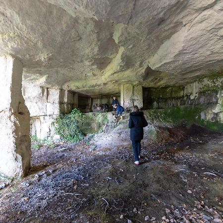 Logis De Bois Roche Villa Saint-Bonnet-sur-Gironde Eksteriør billede