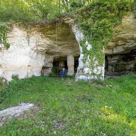 Logis De Bois Roche Villa Saint-Bonnet-sur-Gironde Eksteriør billede