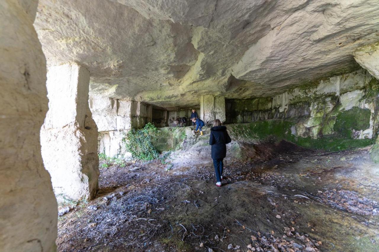 Logis De Bois Roche Villa Saint-Bonnet-sur-Gironde Eksteriør billede