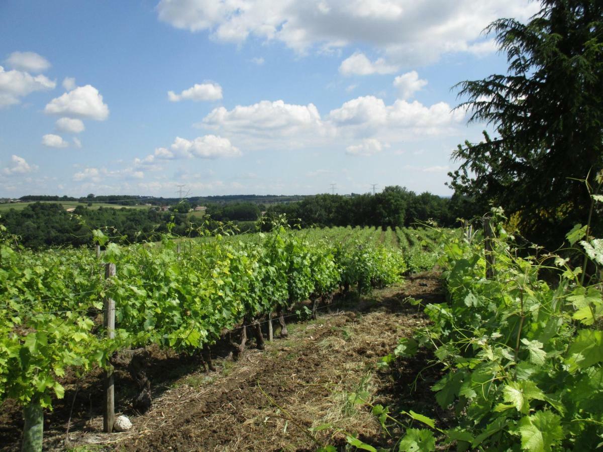 Logis De Bois Roche Villa Saint-Bonnet-sur-Gironde Eksteriør billede