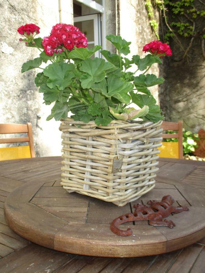 Logis De Bois Roche Villa Saint-Bonnet-sur-Gironde Eksteriør billede