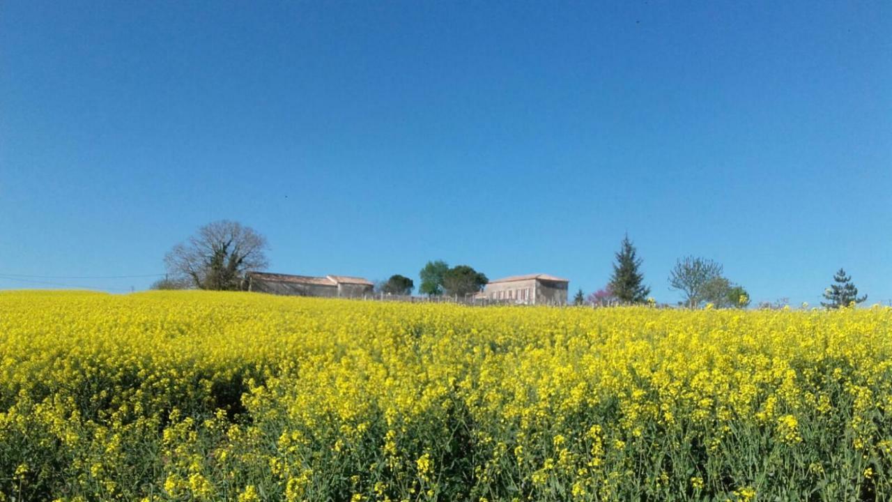 Logis De Bois Roche Villa Saint-Bonnet-sur-Gironde Eksteriør billede