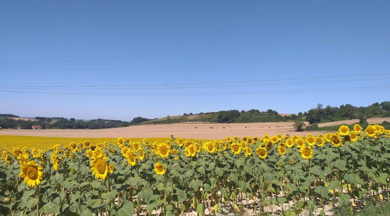 Logis De Bois Roche Villa Saint-Bonnet-sur-Gironde Eksteriør billede