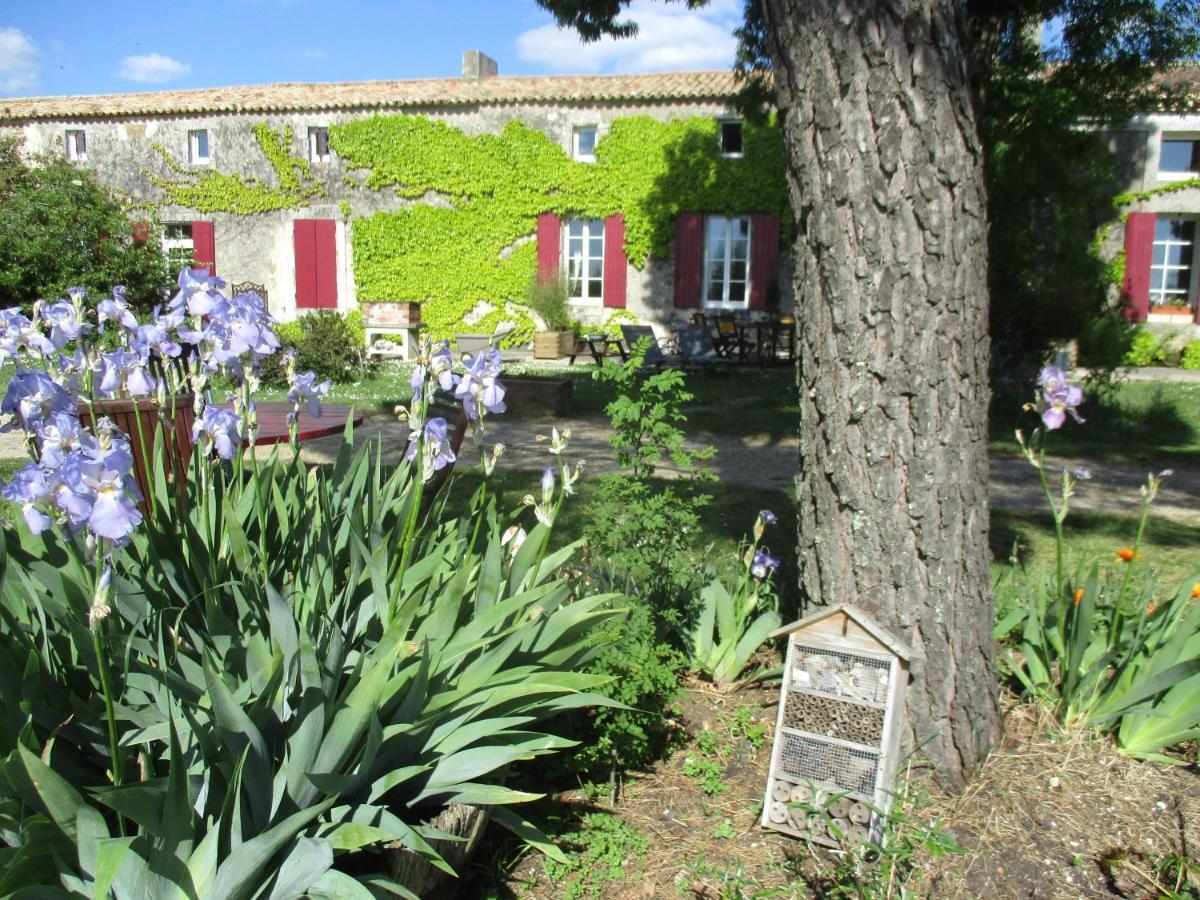 Logis De Bois Roche Villa Saint-Bonnet-sur-Gironde Eksteriør billede